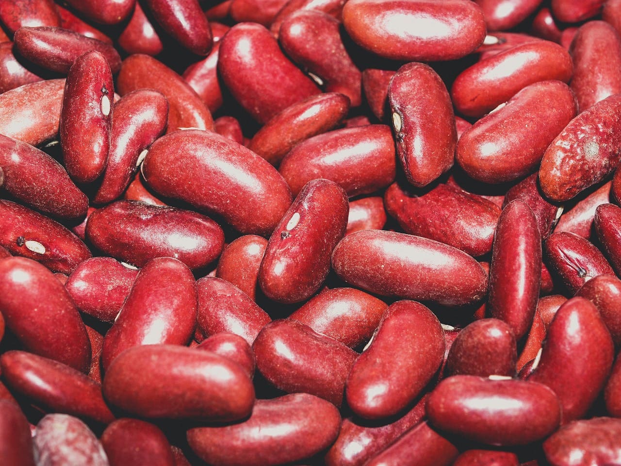 Nutritious Beans
